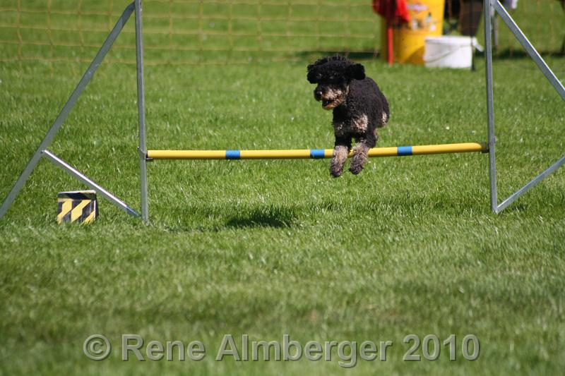 IMG_2972.jpg