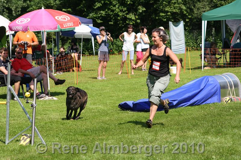 IMG_3007.jpg