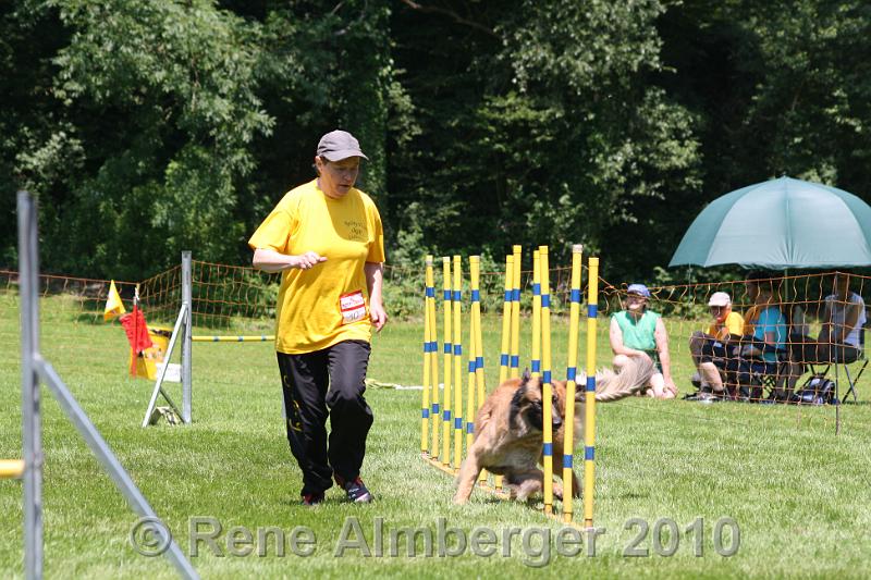 IMG_3019.jpg