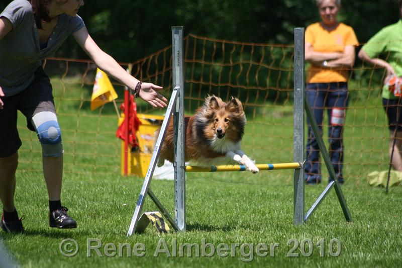 IMG_3026.jpg