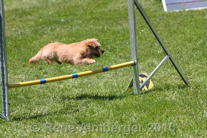 IMG_3048.jpg
