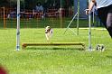 IMG_2790
