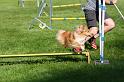IMG_2954