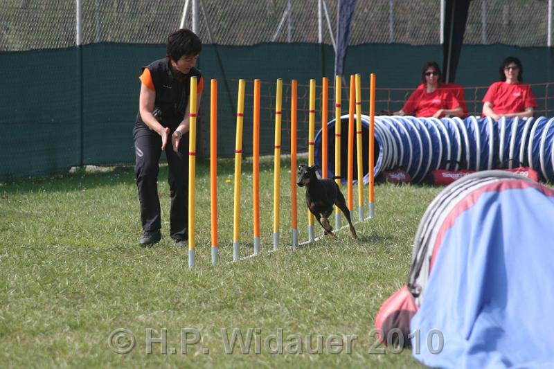 IMG_0110.jpg