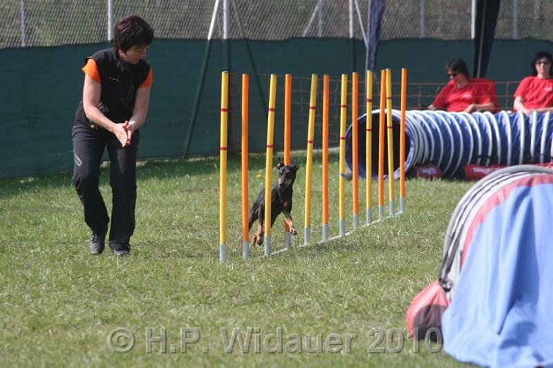 IMG_0112.jpg