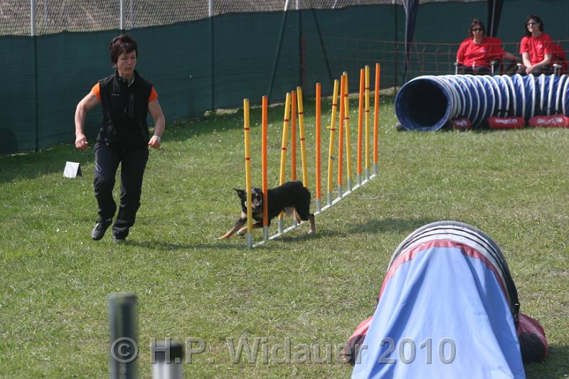 IMG_0178.jpg