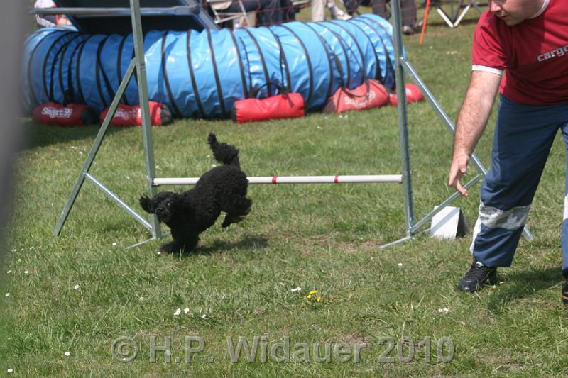 IMG_0194.jpg