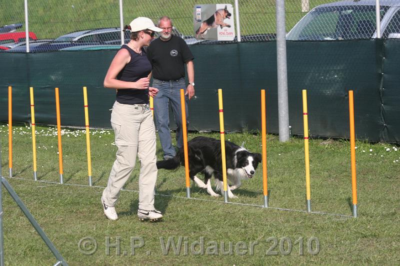 IMG_0305.jpg