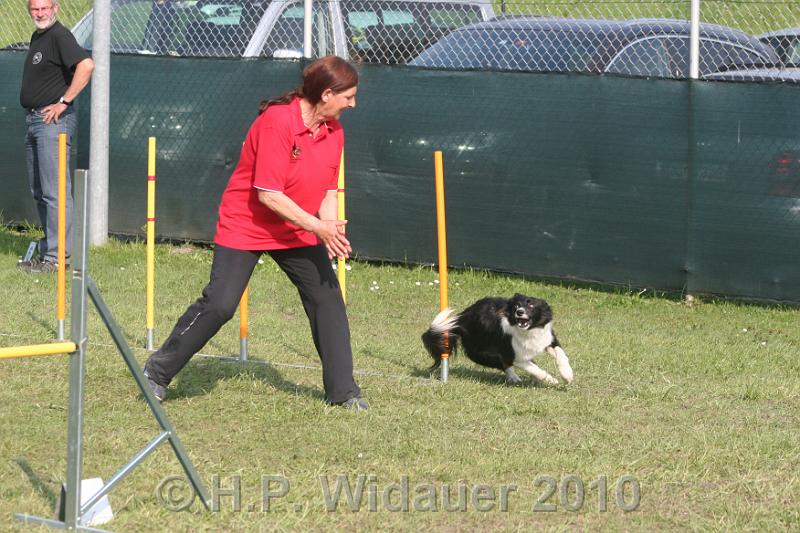 IMG_0309.jpg