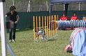 IMG_0090