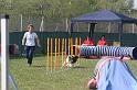 IMG_0094