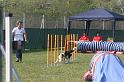 IMG_0096