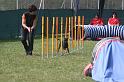 IMG_0111