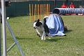 IMG_0175