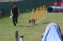 IMG_0179