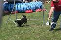 IMG_0194