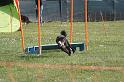 IMG_0353