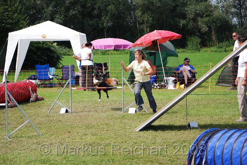 DSC_0319.JPG