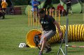 IMG_0159