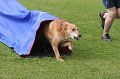 IMG_0168