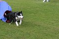 IMG_0174