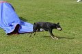 IMG_0183