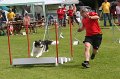 IMG_0186