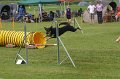 IMG_0201