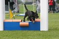 IMG_0224