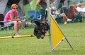 IMG_0225
