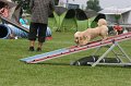IMG_0226