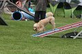 IMG_0227