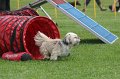 IMG_0235