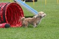 IMG_0239