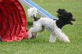 IMG_0242