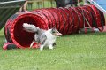 IMG_0247