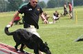 IMG_0254