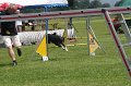 IMG_0255