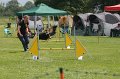IMG_0256