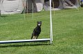 IMG_0265