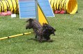 IMG_0271