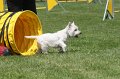 IMG_0278