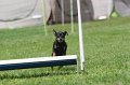 IMG_0290
