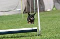 IMG_0291