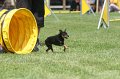 IMG_0292