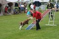 IMG_0294