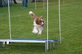 IMG_0295