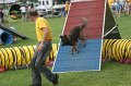 IMG_0302