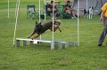 IMG_0303