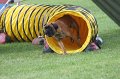 IMG_0305